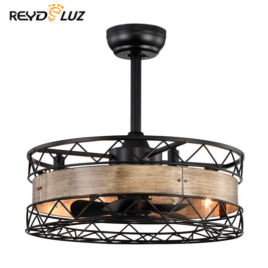 REYDELUZ 20.5" Caged Ceiling Fan with Remote Control Timer