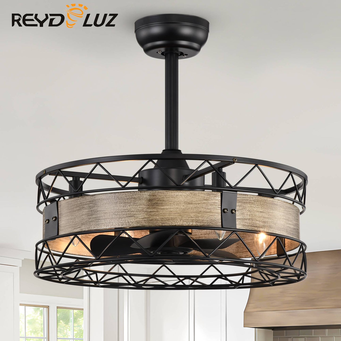 REYDELUZ 20.5" Caged Ceiling Fan with Remote Control Timer