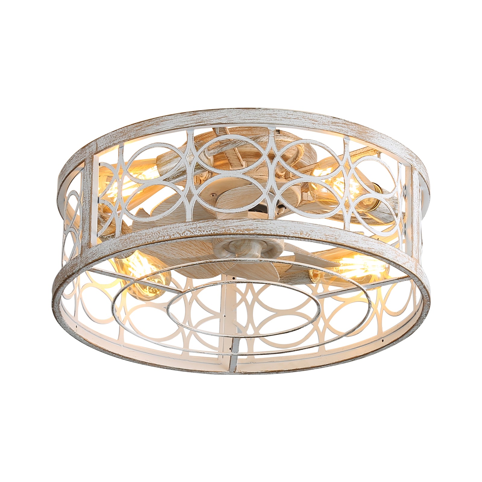 REYDELUZ 20" Caged Ceiling Fan with Light.