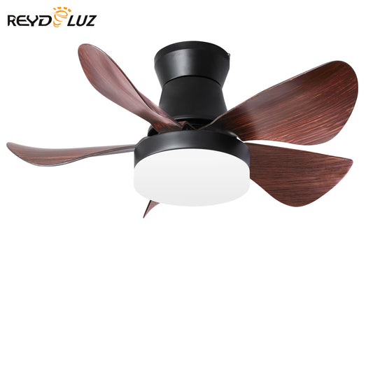 REYDELUZ 28'' Ceiling Fan with Lights Remote Control, Small Ceiling Fan Flush Mount