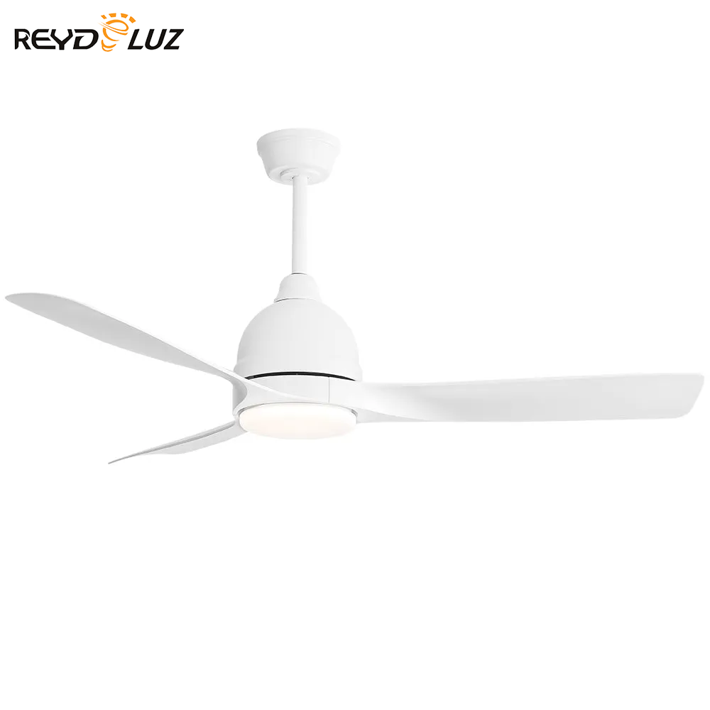 REYDELUZ 54'' Modern Ceiling Fan 6 Speed Remote Control Dimmable Reversible DC Motor