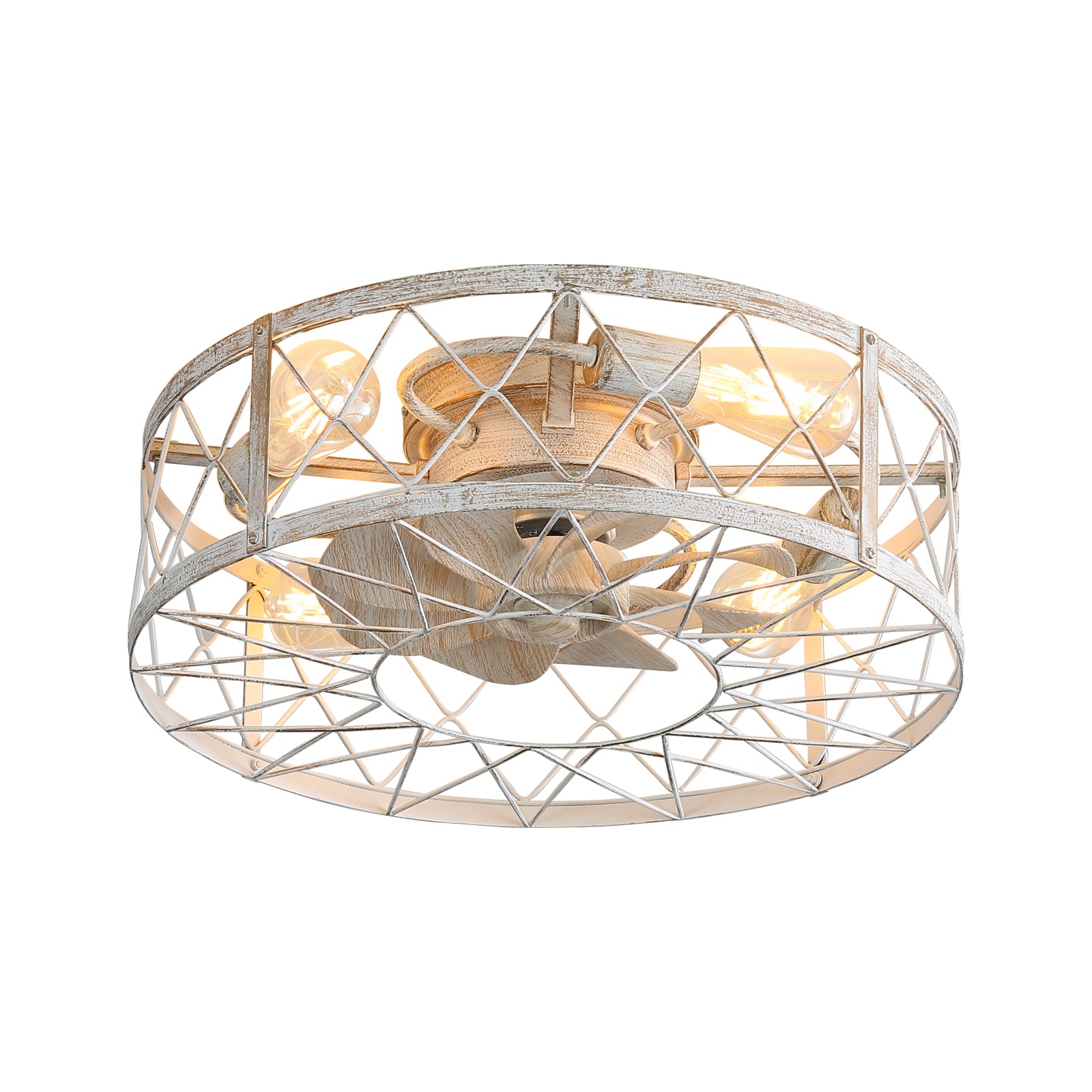 REYDELUZ 20" Caged Ceiling Fan with Light.