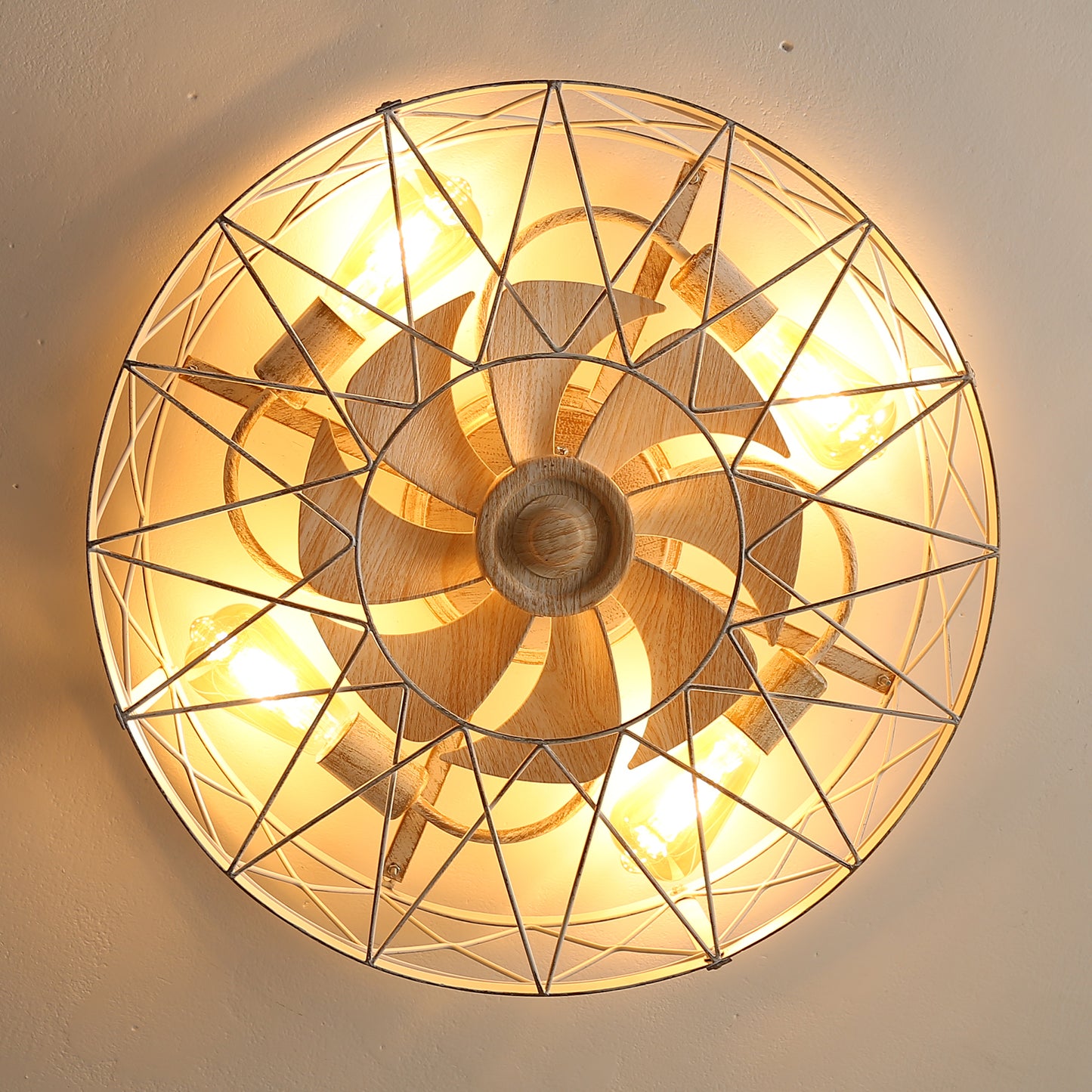 REYDELUZ 20" Caged Ceiling Fan with Light.