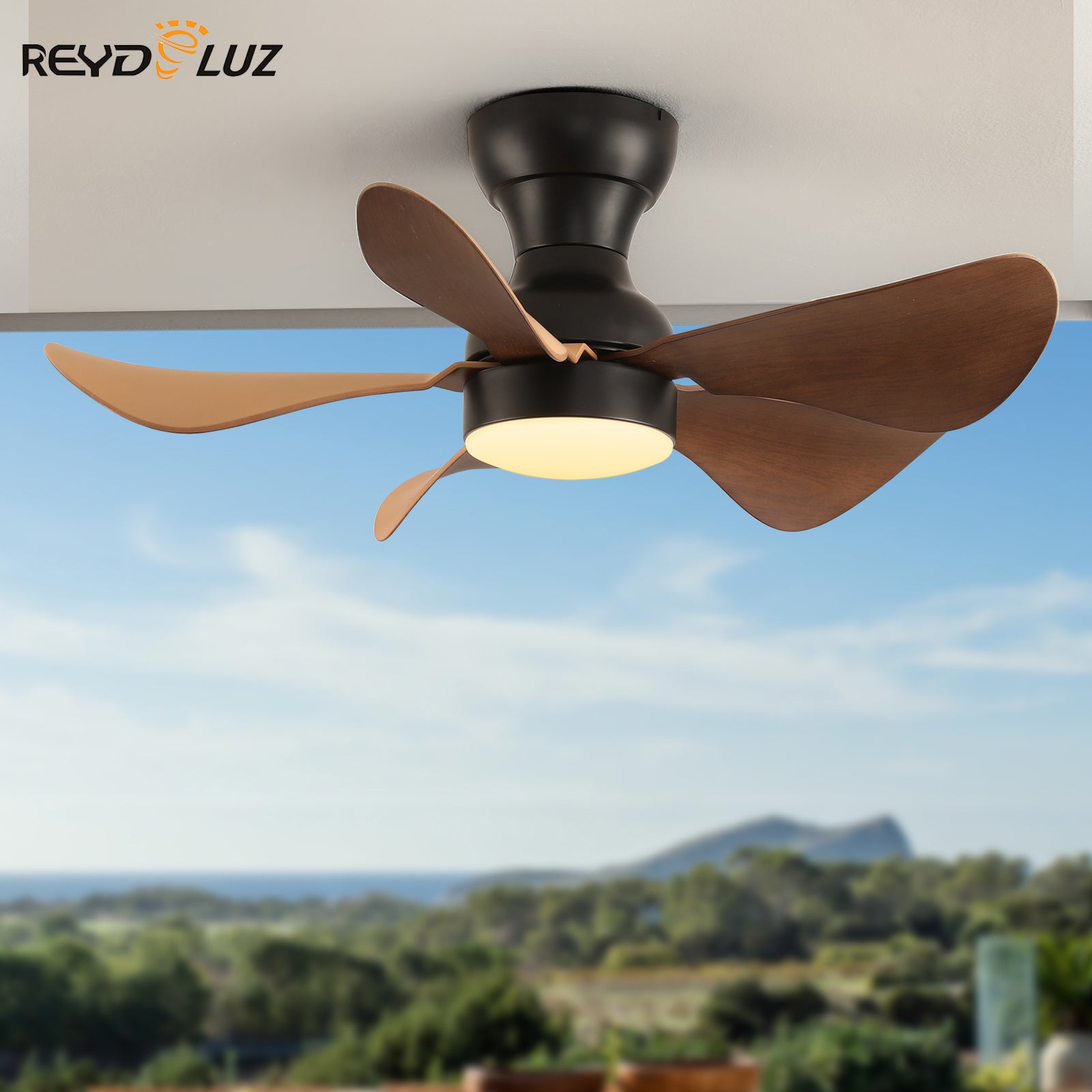 REYDELUZ 30" Ceiling Fan with Lights for 5 Blades Modern Ceiling Fans for Indoor.