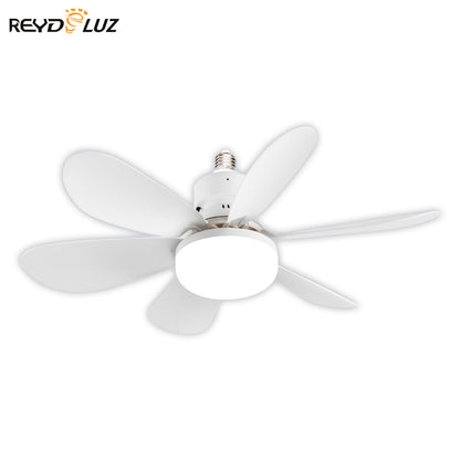 REYDELUZ 20.5" Socket Fan Light with Remote for Kitchen, Bedroom.