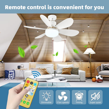 REYDELUZ 20.5" Socket Fan Light with Remote for Kitchen, Bedroom.