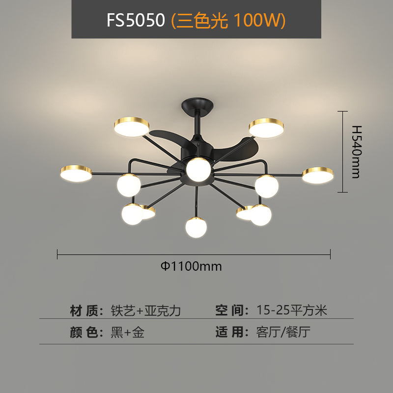 Modern led ceiling fan, projection lamp, adjustable wind speed,